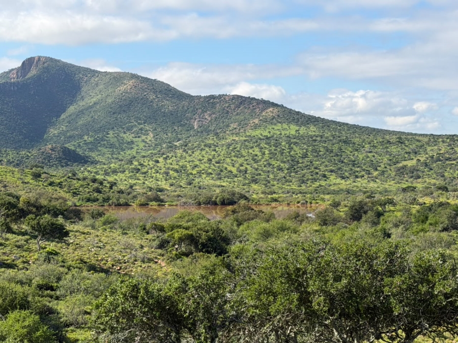 0 Bedroom Property for Sale in Steytlerville Eastern Cape